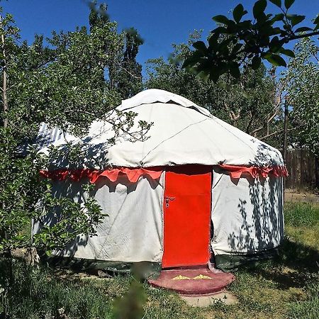 Arista Yurt Camp Hotel Karakol Ruang foto